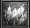 微信图片_20250820161556_51.png